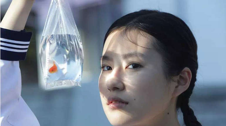 Rotten Tomatoes Certified Fresh Movies 2018