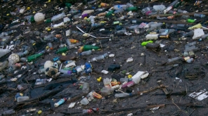  These Enzymes Will Help Humans In Destroying Plastics In a Unique Way