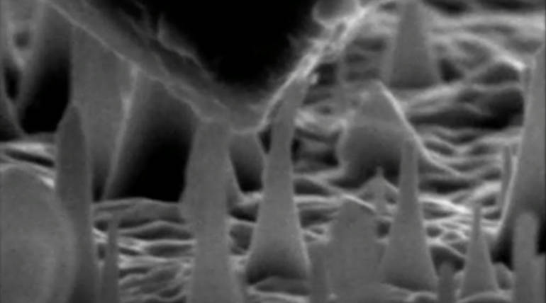 Diamond Is No More Brittle From Now