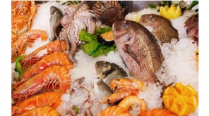 Sea Food And Pregnancy Are Related Says Recent Research