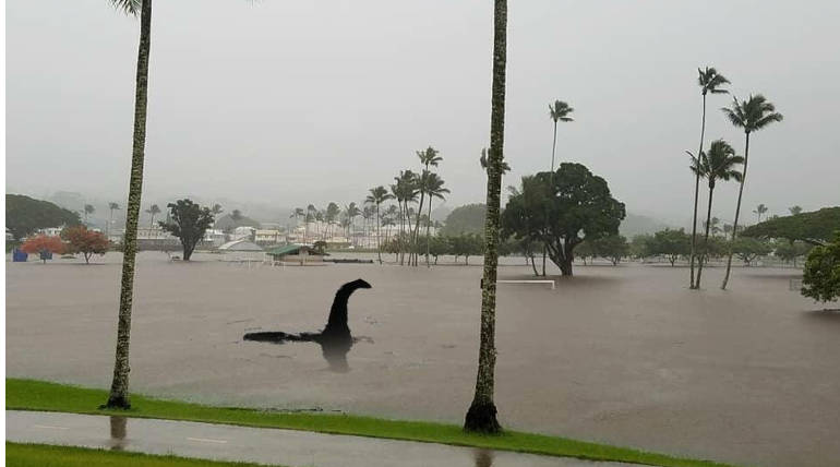 Hurricane Lane, Flood hits Hawaii Island in US with Heavy Rainfall: Trump declares Emergency , Pic credit - @GrizzlyGrant_ Twitter