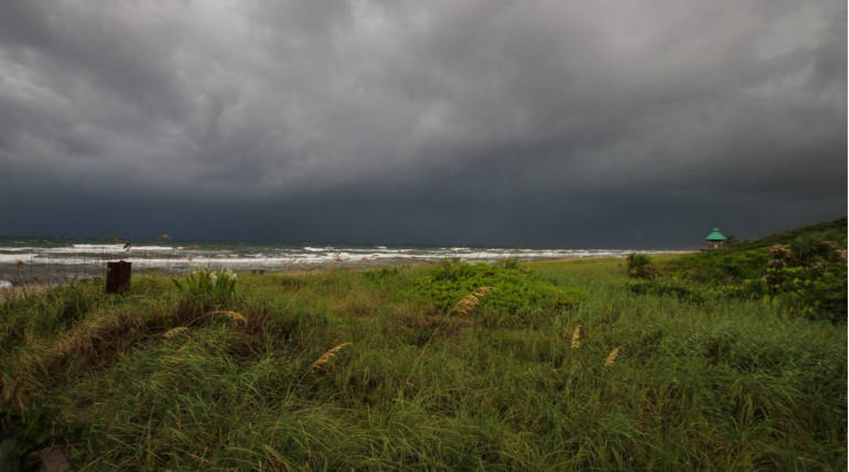 Tropical Storm Gordon to hit Gulf Coast: Heavy Storm thrashes South Florida , Pic Courtesy - @DanEBoy09 Twitter