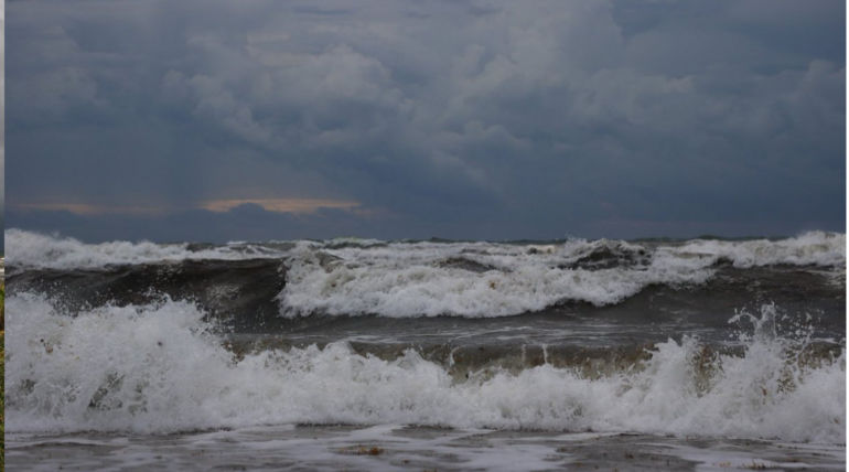 Tropical Storm Gordon to hit Gulf Coast: Heavy Storm thrashes South Florida , Pic Courtesy - @DanEBoy09 Twitter