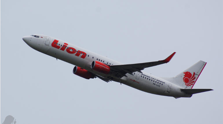 Representation Image of Lion Air Boeing 737, Source - Flickr