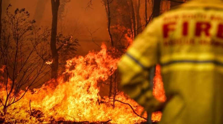 Australian Bushfires Will Increase the Global Temperature
