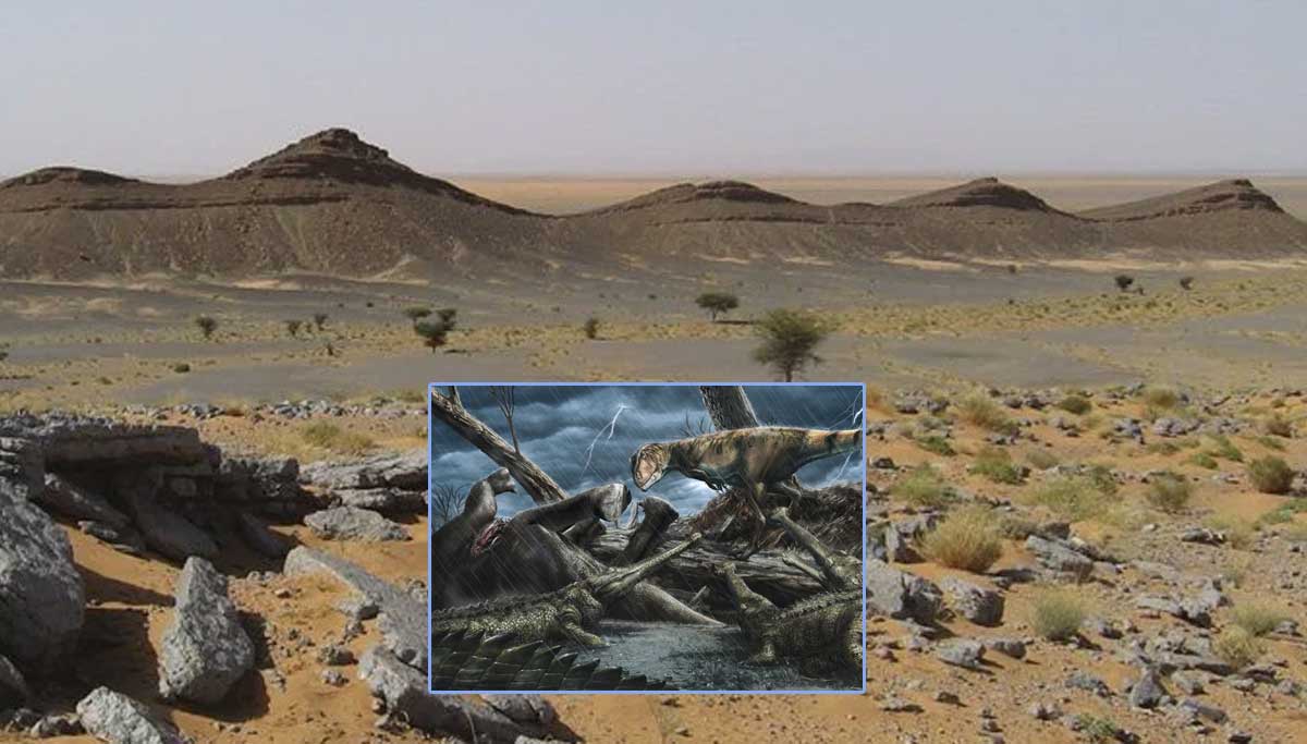 Most Dangerous Place on Earth was Sahara desert in Morocco 100 million years ago. (Davide Bonadonna, Ibrahim et al., ZooKeys, 2020)